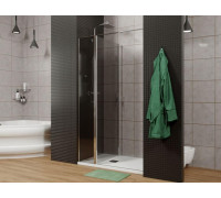 Душевая дверь Allen Brau Priority 100 3.31004.00G хром