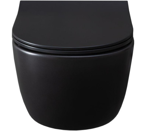 Чаша подвесного унитаза Allen Brau Priority 4.31001.31 черный матовый