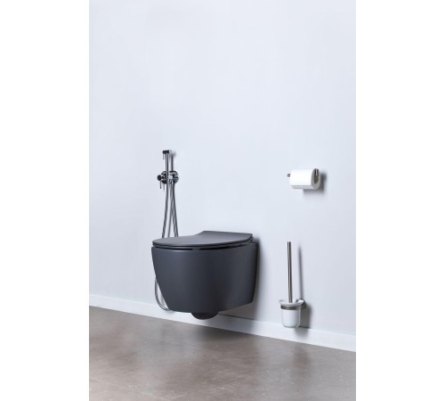 Чаша подвесного унитаза Allen Brau Fantasy 4.11004.AN антрацит