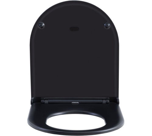 Сиденье для унитаза Aquanet Lake черный матовый