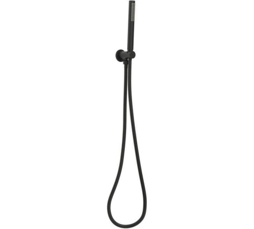 Душевой гарнитур Allen Brau Priority 5.31019-31 черный матовый