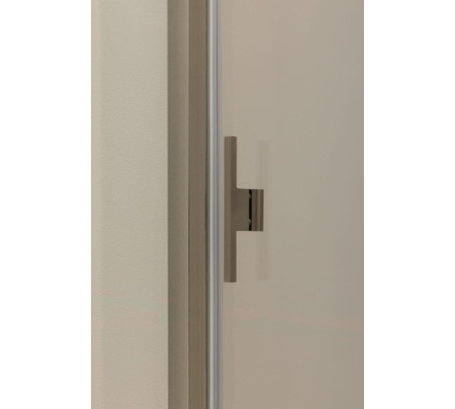 Душевая дверь Allen Brau Priority 120 3.31008.BA серебро браш