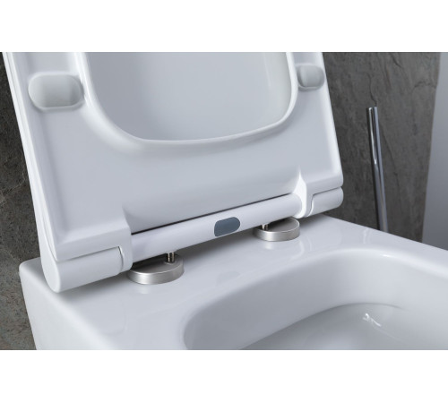 Чаша подвесного унитаза Allen Brau Priority 4.31001.20 белый глянец