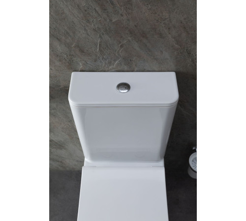 Чаша напольного унитаза Allen Brau Infinity 4.21012.20 белый глянец