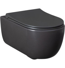 Чаша подвесного унитаза Allen Brau Priority 4.31001.AN антрацит