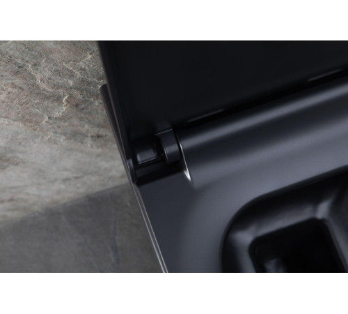 Чаша подвесного унитаза Allen Brau Infinity 4.21011.31 черный матовый