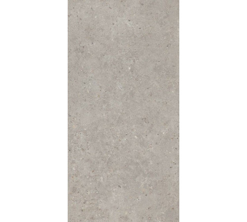 Керамогранит Риккарди SG519920R Светло-серый матовый 60х119.5