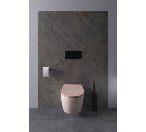 Чаша подвесного унитаза Allen Brau Fantasy 4.11004.SM розовый