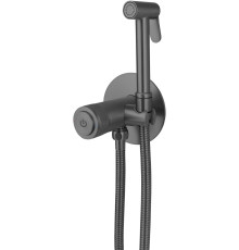 Смеситель с гигиеническим душем Allen Brau Liberty 5.33005-MG (с внутренней частью) графит браш