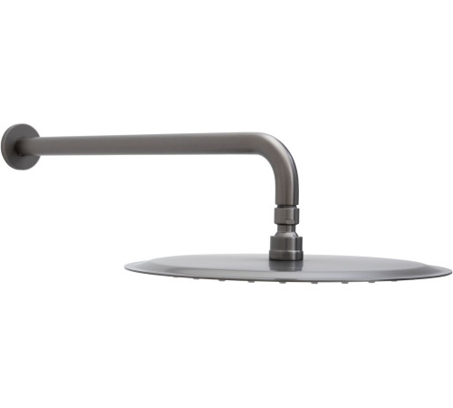 Верхний душ Allen Brau Priority 5.31A17-MG графит браш