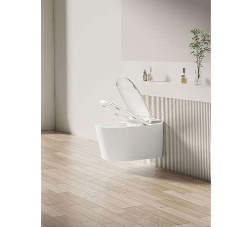 Унитаз подвесной Allen Brau Smart 4.I1001.20 белый, с функцией биде