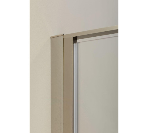 Душевая дверь Allen Brau Priority 120 3.31008.BA серебро браш