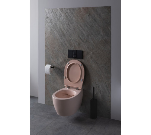 Чаша подвесного унитаза Allen Brau Fantasy 4.11004.SM розовый