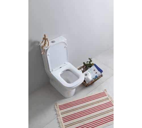 Чаша унитаза Aquanet Fine Rimless FINE-C Soft Close