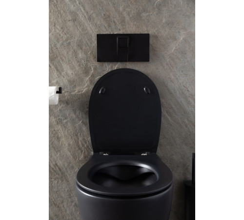 Чаша подвесного унитаза Allen Brau Reality 4.32006.31 черный матовый