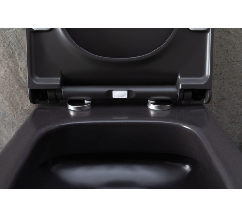 Чаша подвесного унитаза Allen Brau Priority 4.31001.AN антрацит