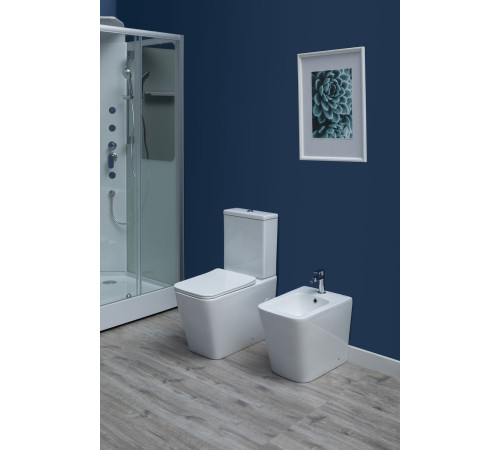 Биде напольное Aquanet Tavr 2.0 B1 LX-1062