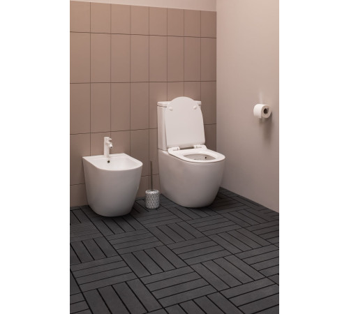 Чаша напольного унитаза Aquanet Rimless Cetus-C1 BL-102N-TPT