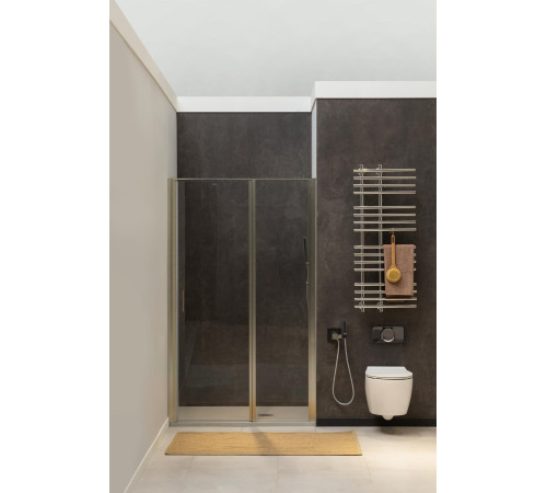 Душевая дверь Allen Brau Priority 120 3.31032.BA серебро браш