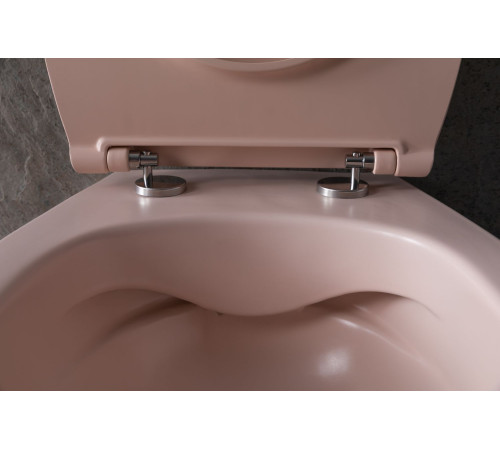 Чаша подвесного унитаза Allen Brau Fantasy 4.11004.SM розовый