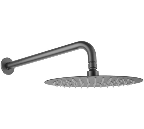 Верхний душ Allen Brau Priority 5.31017-MG графит браш
