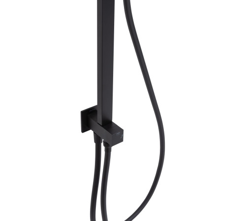 Душевая стойка Allen Brau Infinity 5.21031-31 черный матовый