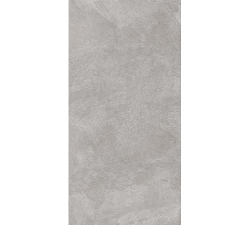 Керамогранит Про Стоун DD500220R Серый матовый 60х119.5