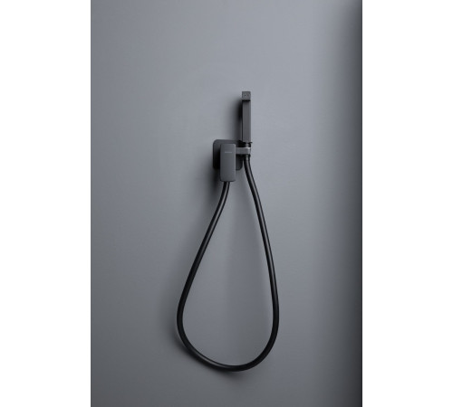 Смеситель с гигиеническим душем Allen Brau Infinity 5.21005-31 (с внутренней частью) черный матовый