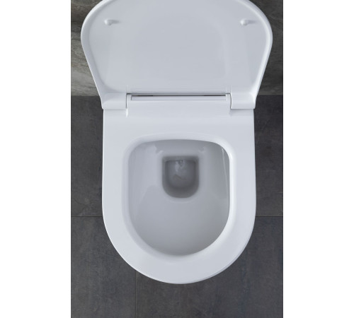 Чаша подвесного унитаза Allen Brau Priority 4.31001.20 белый глянец