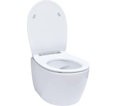 Унитаз с инсталляцией Allen Brau Fantasy 4.11004.20/8.9466.0.000.000.1 белый глянец
