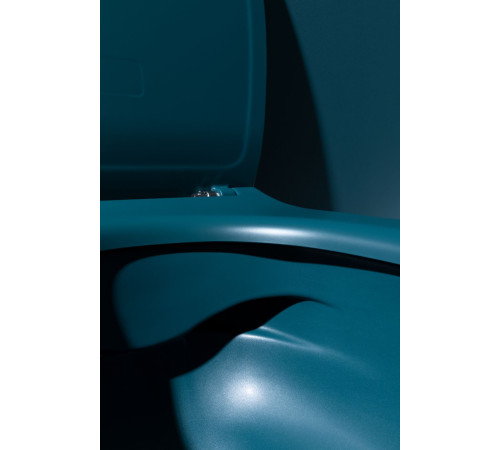 Крышка-сиденье для унитаза Allen Brau Fantasy Soft-Close 4.11005.PT петроль