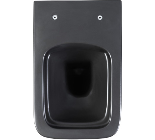 Унитаз подвесной Aquanet Rimless Tavr-W BL-103N-WHT black черный матовый