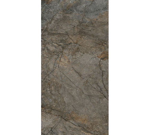 Керамогранит Сильвер Рут DL502920R Серый матовый 60х119.5