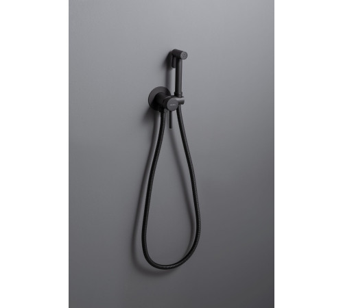 Смеситель с гигиеническим душем Allen Brau Priority 5.31A29-31 (с внутренней частью) черный матовый