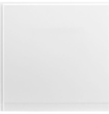 Боковой экран Aquanet Palma 60 L