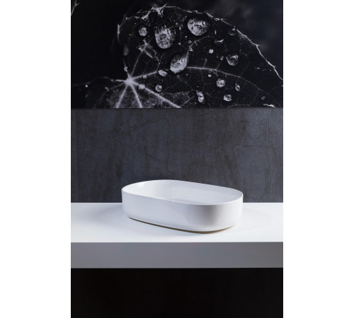 Раковина накладная Allen Brau Fantasy 55 4.11022.20 белый глянец