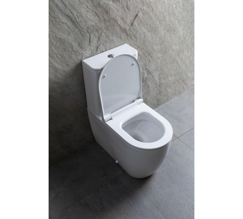 Чаша напольного унитаза Allen Brau Priority 4.31003.20 белый