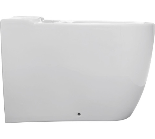 Чаша напольного унитаза Allen Brau Priority 4.31003.20 белый