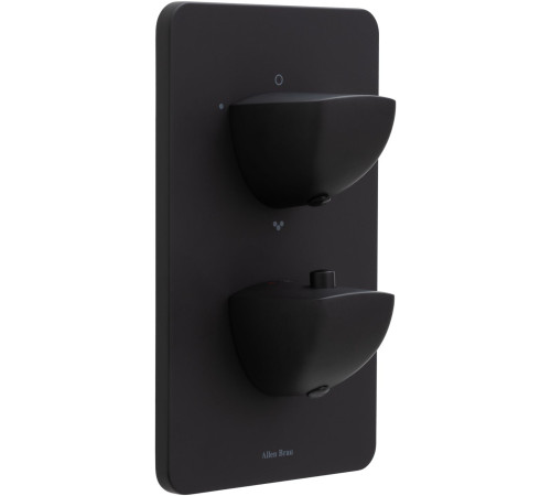 Смеситель для ванны Allen Brau Infinity 5.21316-31 (с внутренней частью, 3 выхода) черный матовый