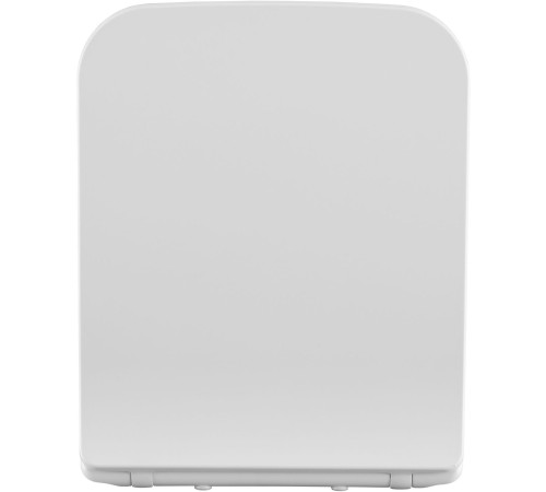 Сиденье для унитаза Allen Brau Liberty 4.33008.20 белый