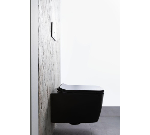 Чаша подвесного унитаза Allen Brau Liberty 4.33007.31 черный матовый