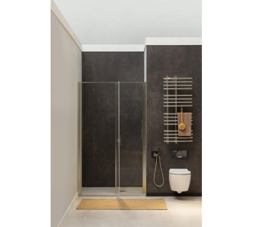 Душевая дверь Allen Brau Priority 100 3.31029.BA серебро браш