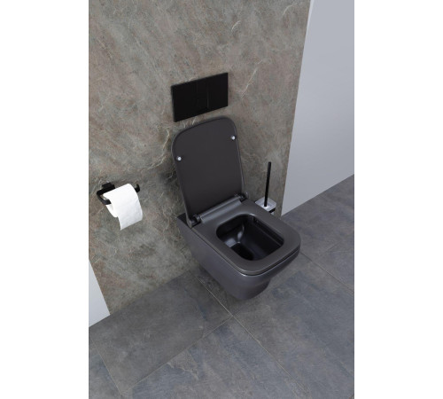 Чаша подвесного унитаза Allen Brau Infinity 4.21011.AN антрацит