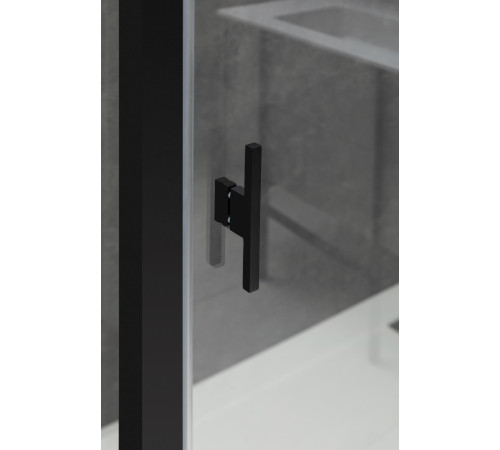 Душевой уголок Allen Brau Priority 100x80 3.31030.BBA + 3.31042.BBA черный браш