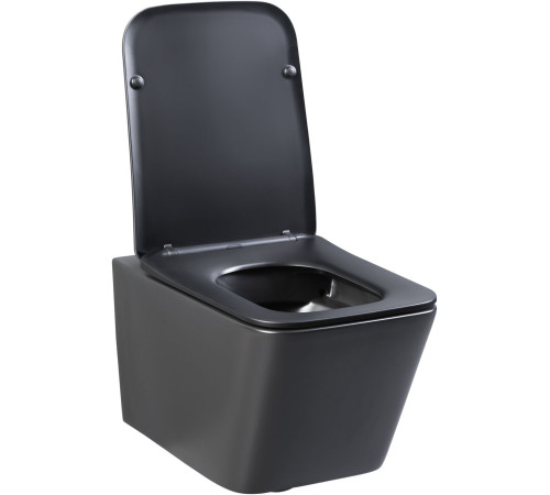 Унитаз подвесной Aquanet Rimless Tavr-W BL-103N-WHT black черный матовый