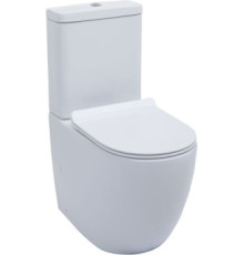 Чаша напольного унитаза Aquanet Rimless Cetus-C1 BL-102N-TPT