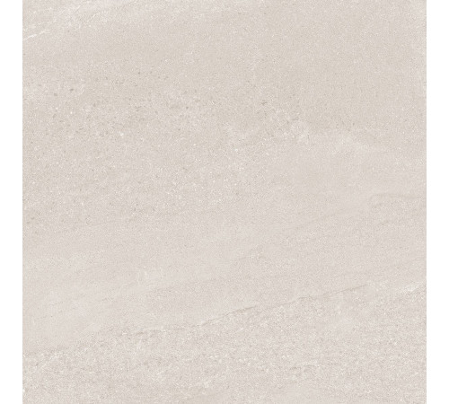 Керамогранит Про Матрикс DD601820R Светло-бежевый матовый 60х60