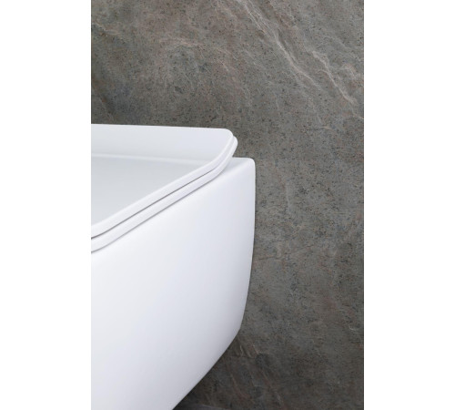 Чаша подвесного унитаза Allen Brau Liberty 4.33007.21 белый матовый