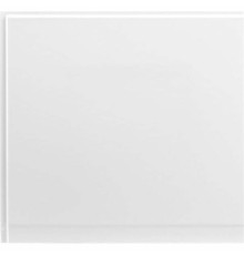 Боковой экран Aquanet Dali 70