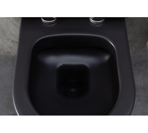 Чаша подвесного унитаза Allen Brau Priority 4.31001.31 черный матовый